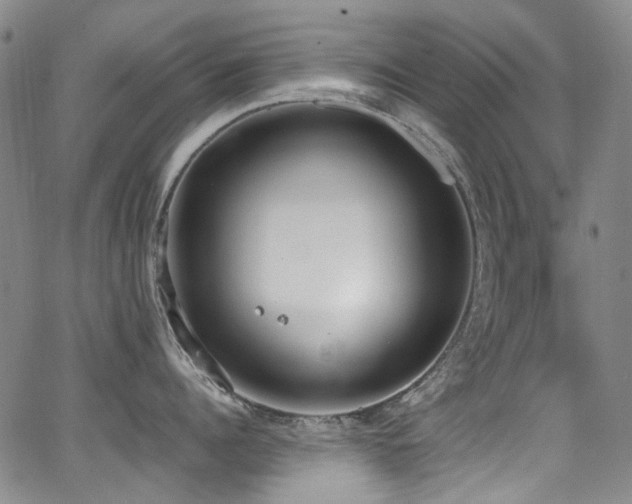 X0000062930960200601131508