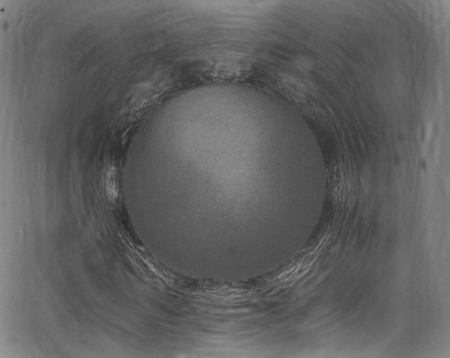 X0000062930962200601131507