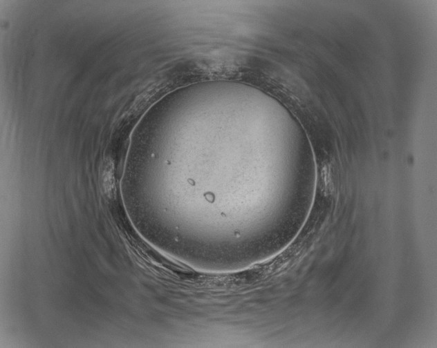 X0000062930963200601131507