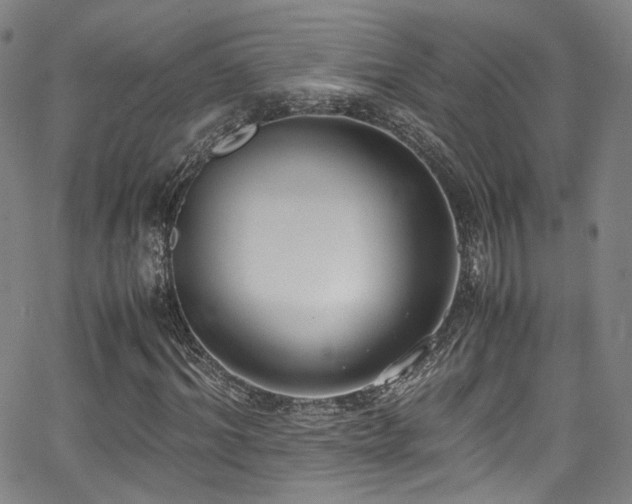 X0000062930964200601131507