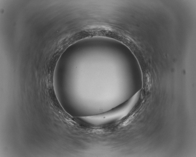 X0000062930965200601131507