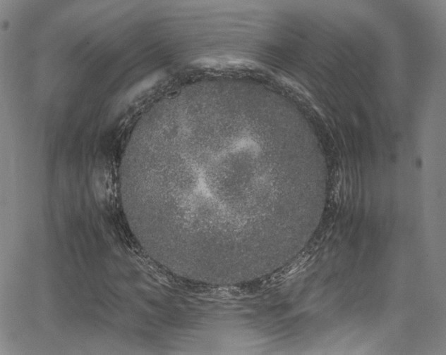 X0000062930966200601131507