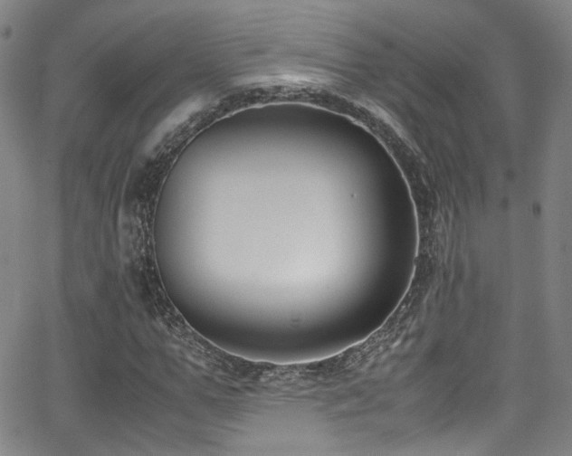 X0000062930967200601131507