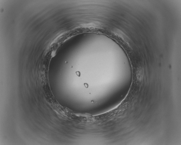 X0000062930968200601131507