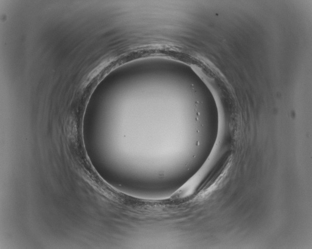 X0000062930969200601131507