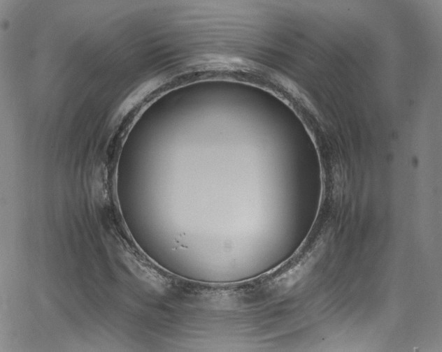 X0000062930970200601131507