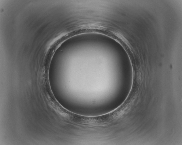 X0000062930971200601131507