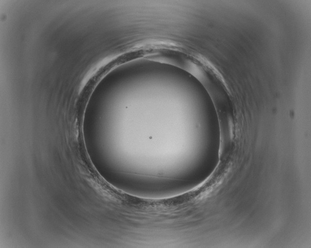 X0000062930973200601131507