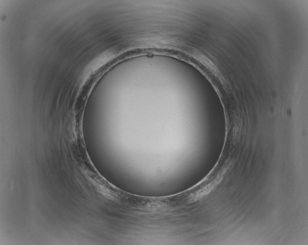 X0000062930974200601131507