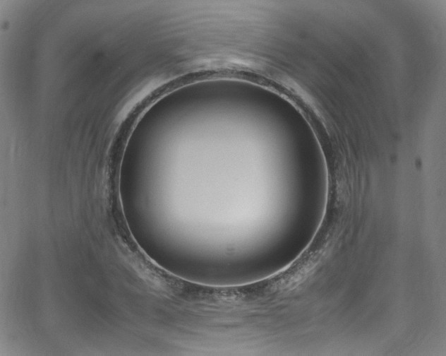 X0000062930975200601131507