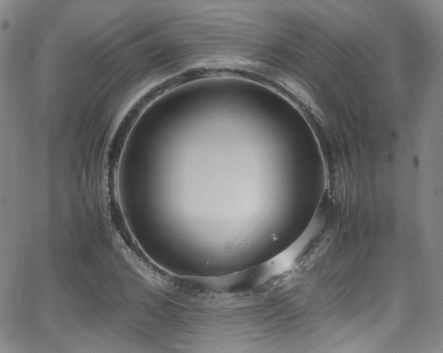 X0000062930976200601131507