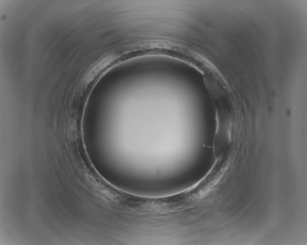 X0000062930977200601131507