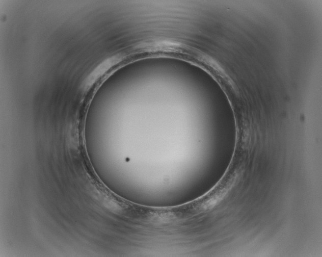 X0000062930978200601131507