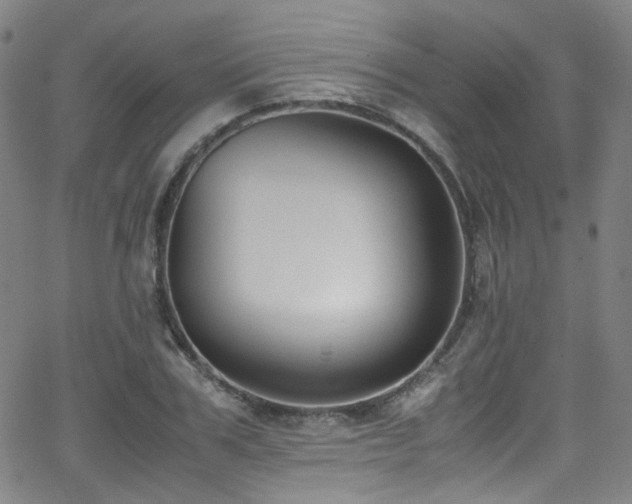 X0000062930979200601131507