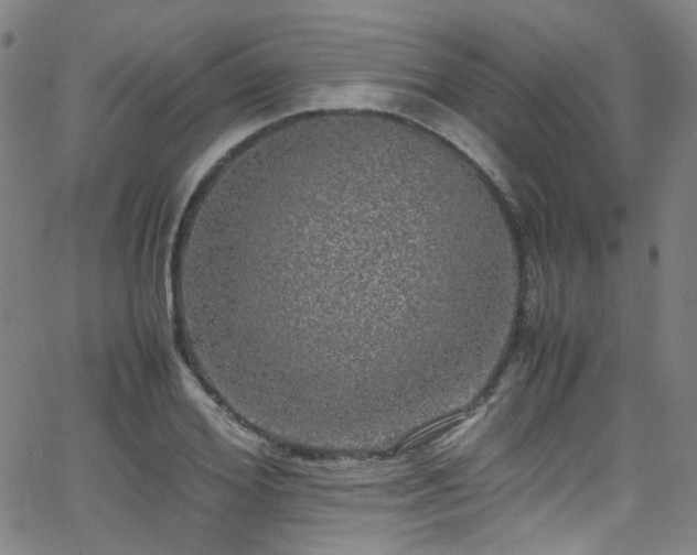 X0000062930980200601131507