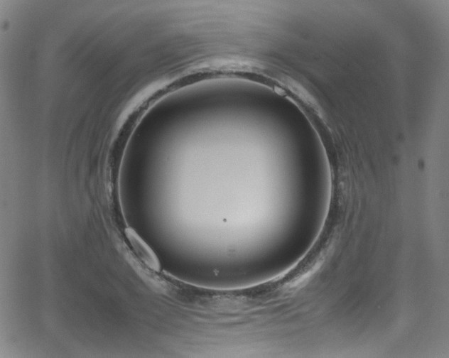 X0000062930981200601131507