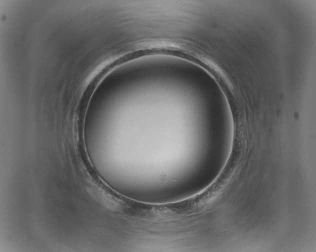 X0000062930983200601131507