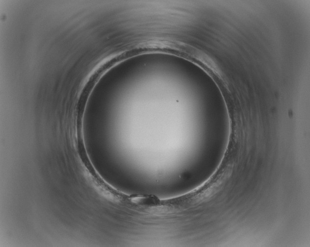 X0000062930984200601131507