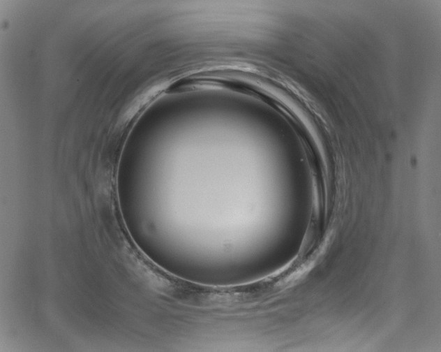 X0000062930985200601131507