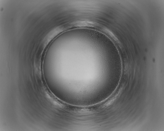 X0000062930986200601131507