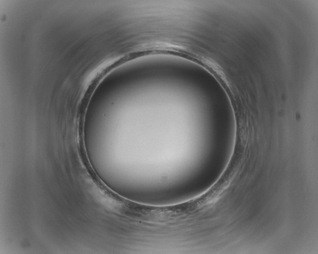 X0000062930987200601131507