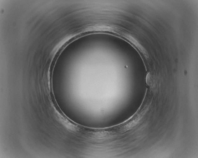 X0000062930988200601131507