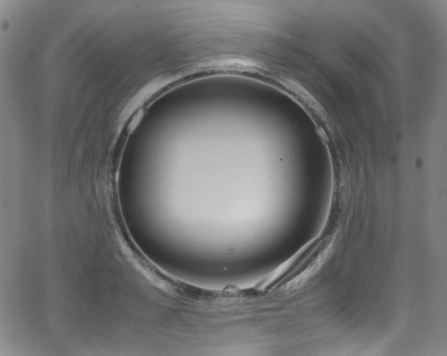 X0000062930989200601131507