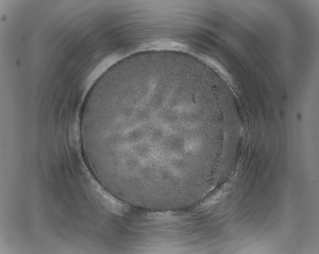 X0000062930990200601131507