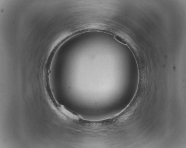 X0000062930991200601131506