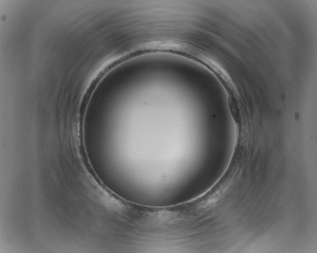 X0000062930992200601131506