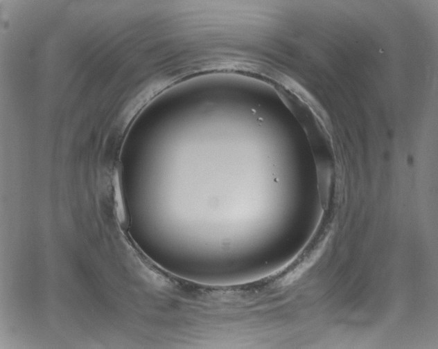 X0000062930993200601131506