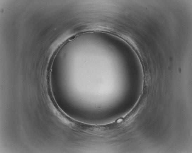 X0000062930995200601131506