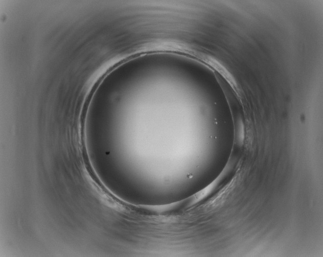 X0000062930996200601131506