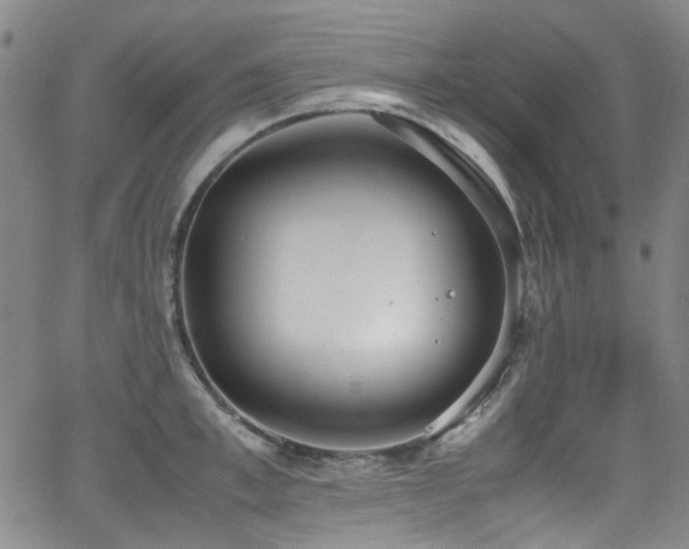 X0000062930997200601131506