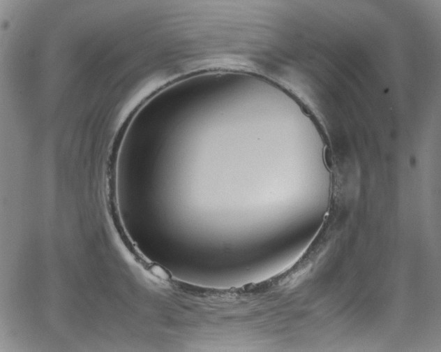 X0000062930999200601131506