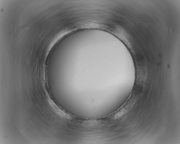 X0000062931000200601131506