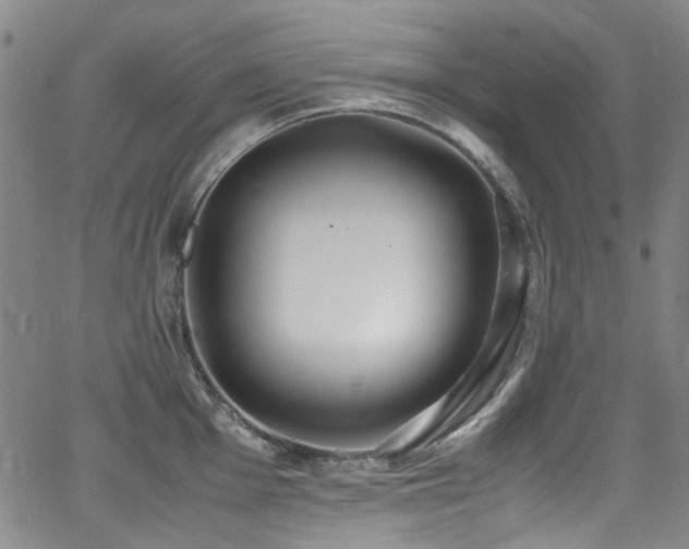 X0000062931001200601131506