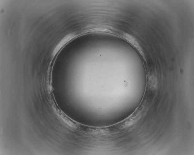 X0000062931002200601131506