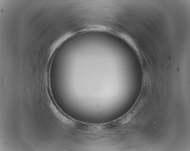 X0000062931003200601131506