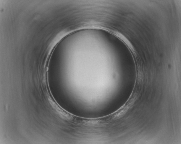 X0000062931004200601131506