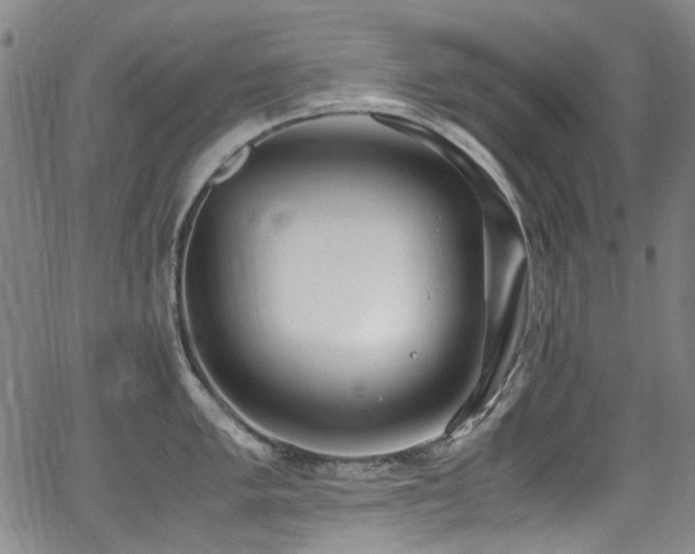 X0000062931005200601131506