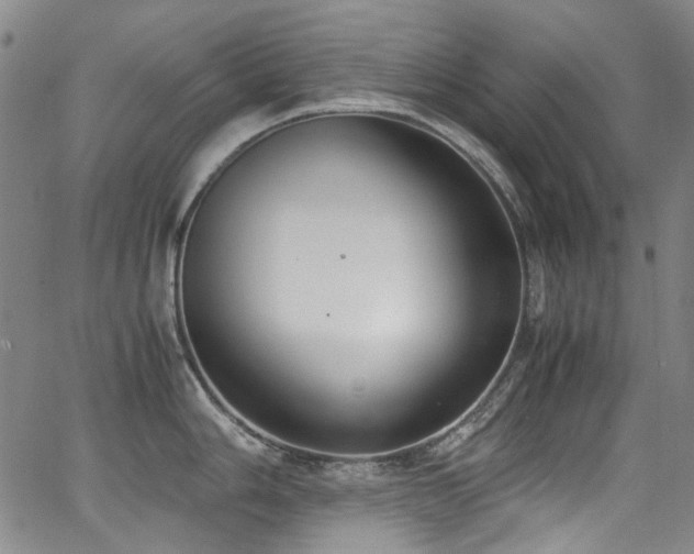 X0000062931006200601131506