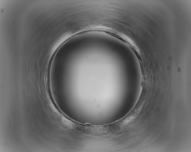 X0000062931007200601131506