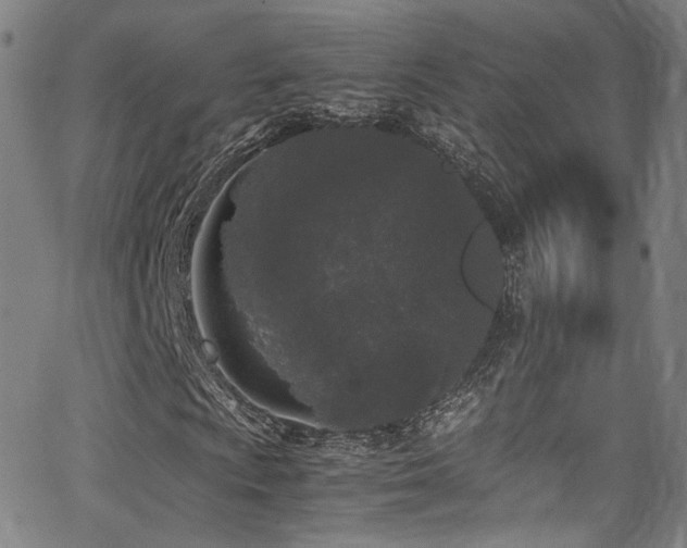 X0000062931009200601131505