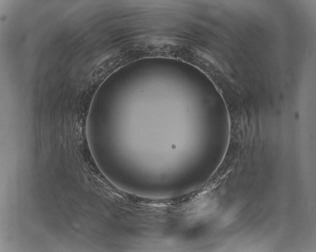 X0000062931013200601131505