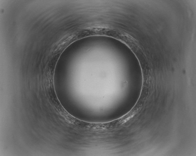 X0000062931014200601131505