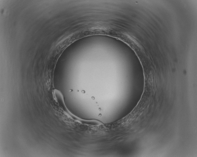 X0000062931015200601131506