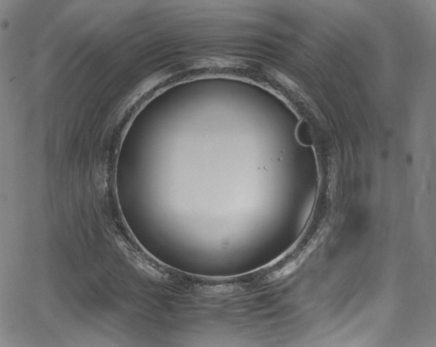 X0000062931017200601131506