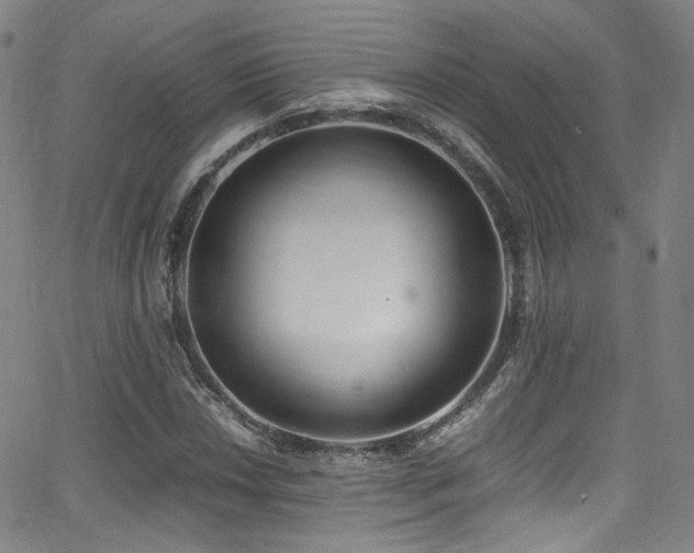 X0000062931018200601131506