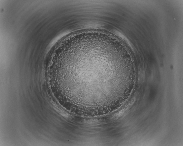 X0000062931019200601131506